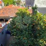 Sobrado à venda com 3 quartos, sendo 1 suíte, em Vila Gustavo, São Paulo, SP