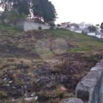 Terreno à venda em Vila Oliveira, Mogi das Cruzes, SP