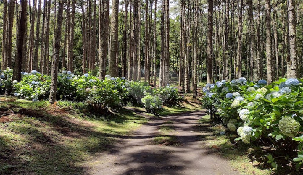 Terreno à venda no Centro, Camanducaia, MG