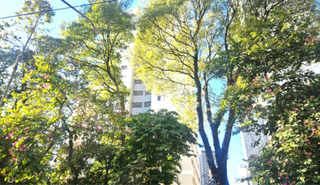 Apartamento à venda com 3 quartos em Chácara Santo Antônio (zona Sul), São Paulo, SP