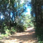Hotel à venda com 7 quartos, sendo 4 suítes, no Centro, Soledade de Minas, MG