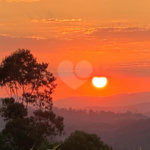 Terreno à venda em Serra da Cantareira, Mairiporã, SP