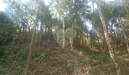 Terreno à venda em Serra da Cantareira, Mairiporã, SP