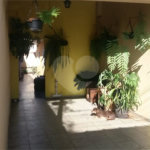 Casa à venda com 2 quartos em Jardim Santa Marta II, Salto, SP
