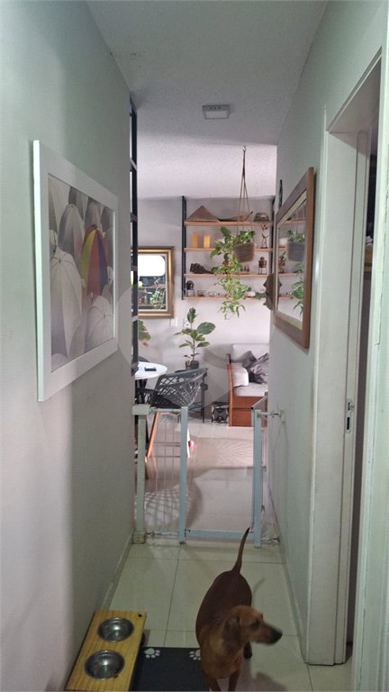 Apartamento à venda com 2 quartos em Campo Grande, Rio de Janeiro, RJ