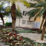 Apartamento à venda ou para alugar com 2 quartos em Vila Amália (zona Norte), São Paulo, SP