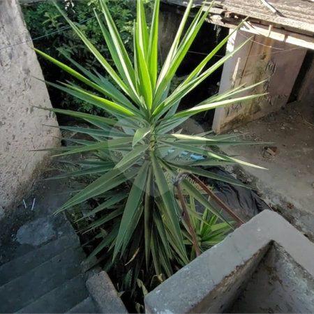 Terreno à venda em Cidade Líder, São Paulo, SP