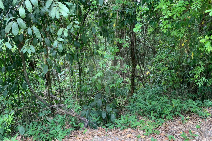 Terreno à venda no condomínio Sausalito, Mairiporã - SP