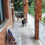 Casa à venda com 3 quartos, sendo 1 suíte, no condomínio Parque Suiça, Caieiras - SP