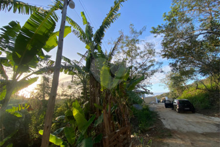 Terreno à venda em Albatroz, Armação dos Búzios, RJ