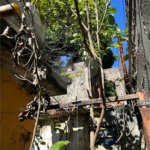 Terreno à venda com 1 quarto no Brasilândia, São Paulo, SP