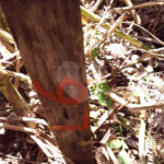 Terreno à venda no condomínio Sausalito, Mairiporã - SP