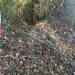 Terreno à venda no condomínio Sausalito, Mairiporã - SP