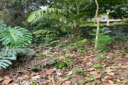 Terreno à venda em Jardim Leonor, São Paulo, SP