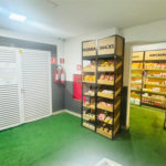 Apartamento à venda com 3 quartos, sendo 1 suíte, em Lauzane Paulista, São Paulo, SP