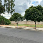 Terreno de Esquina Misto – 257,61 m² | Jardim Regina