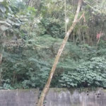Terreno à venda em Tucuruvi, São Paulo, SP