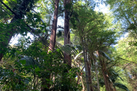 Terreno à venda no condomínio Chácara Flora, São Paulo - SP
