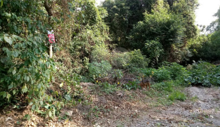 Terreno à venda em Serra da Cantareira, Mairiporã, SP