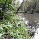 Chácara à venda com 3 quartos, sendo 1 suíte,  em Taiaçupeba, Mogi das Cruzes, SP