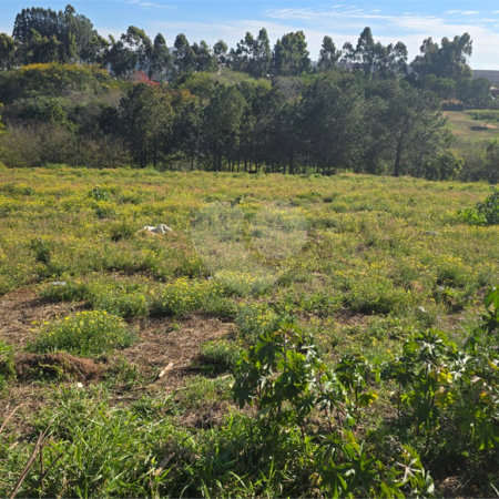 Terreno à venda em Vila Sonia, Itapetininga, SP