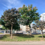 Casa à venda com 2 quartos no condomínio Sintra, São Paulo - SP