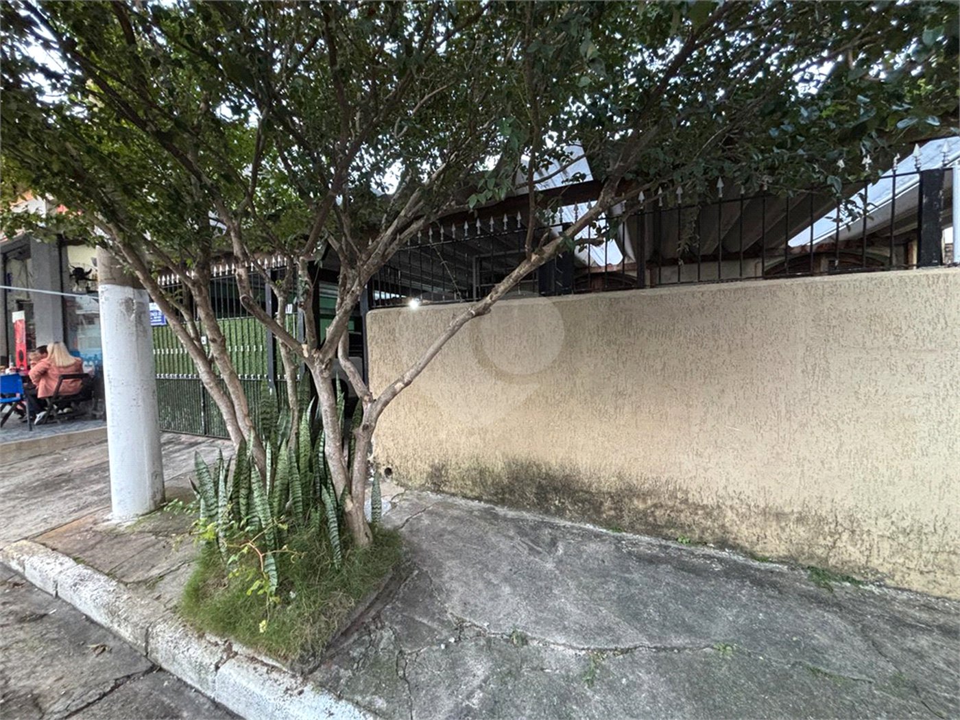 Casa Térrea à venda com 3 quartos em Vila Maria Alta, São Paulo, SP