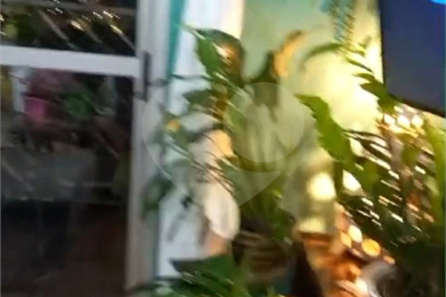 Apartamento à venda com 3 quartos, sendo 1 suíte, em Vila Maria, São Paulo, SP