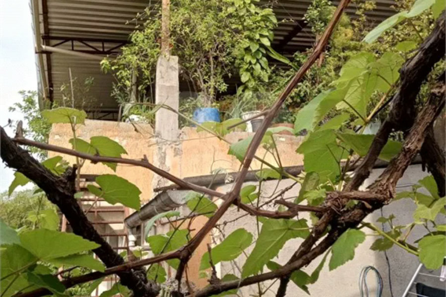 Casa à venda com 3 quartos, sendo 1 suíte, em Mandaqui, São Paulo, SP