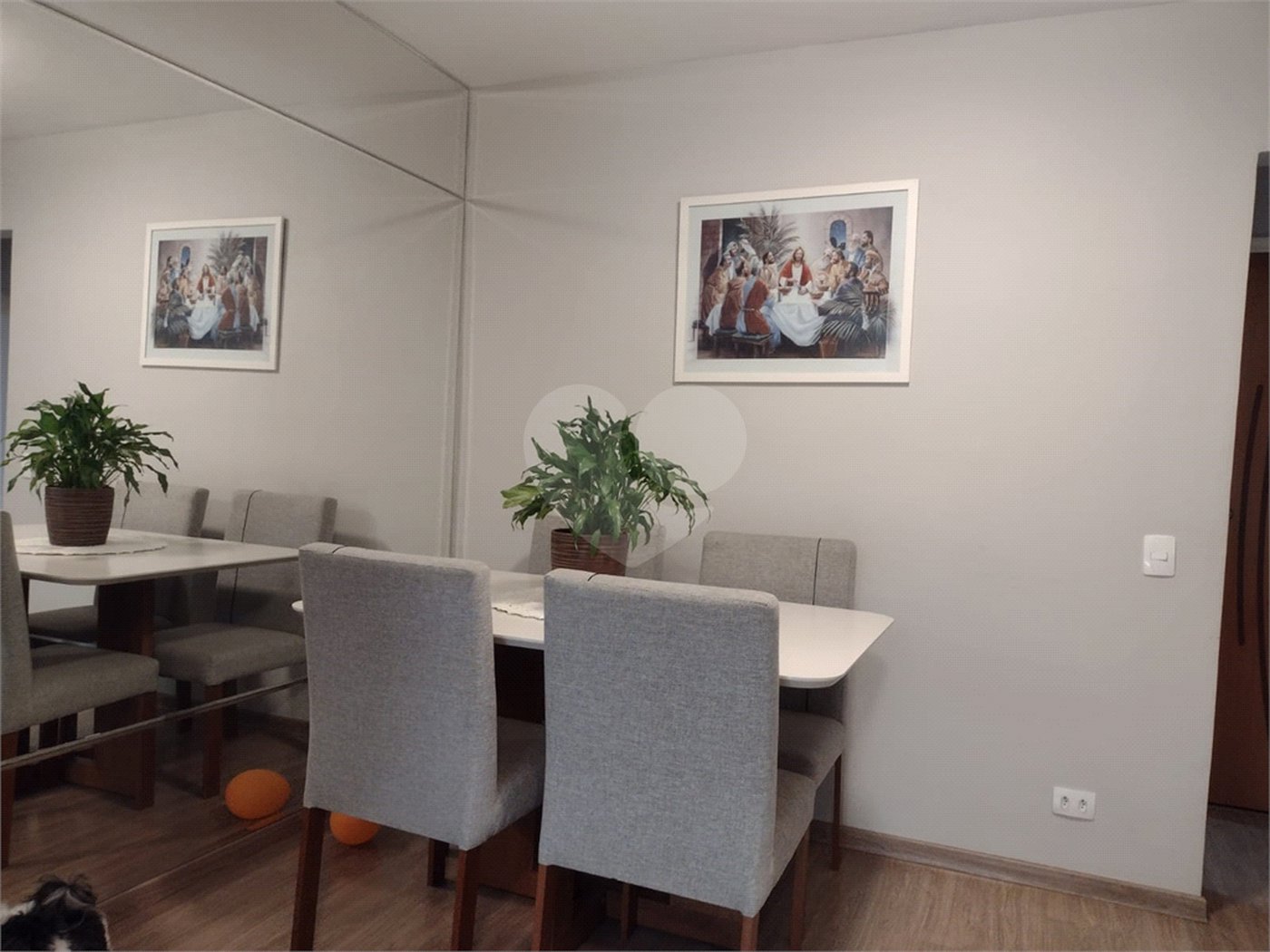Apartamento à venda com 3 quartos, sendo 1 suíte, em Casa Verde, São Paulo, SP