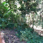 Terreno à venda em Tremembé, São Paulo, SP