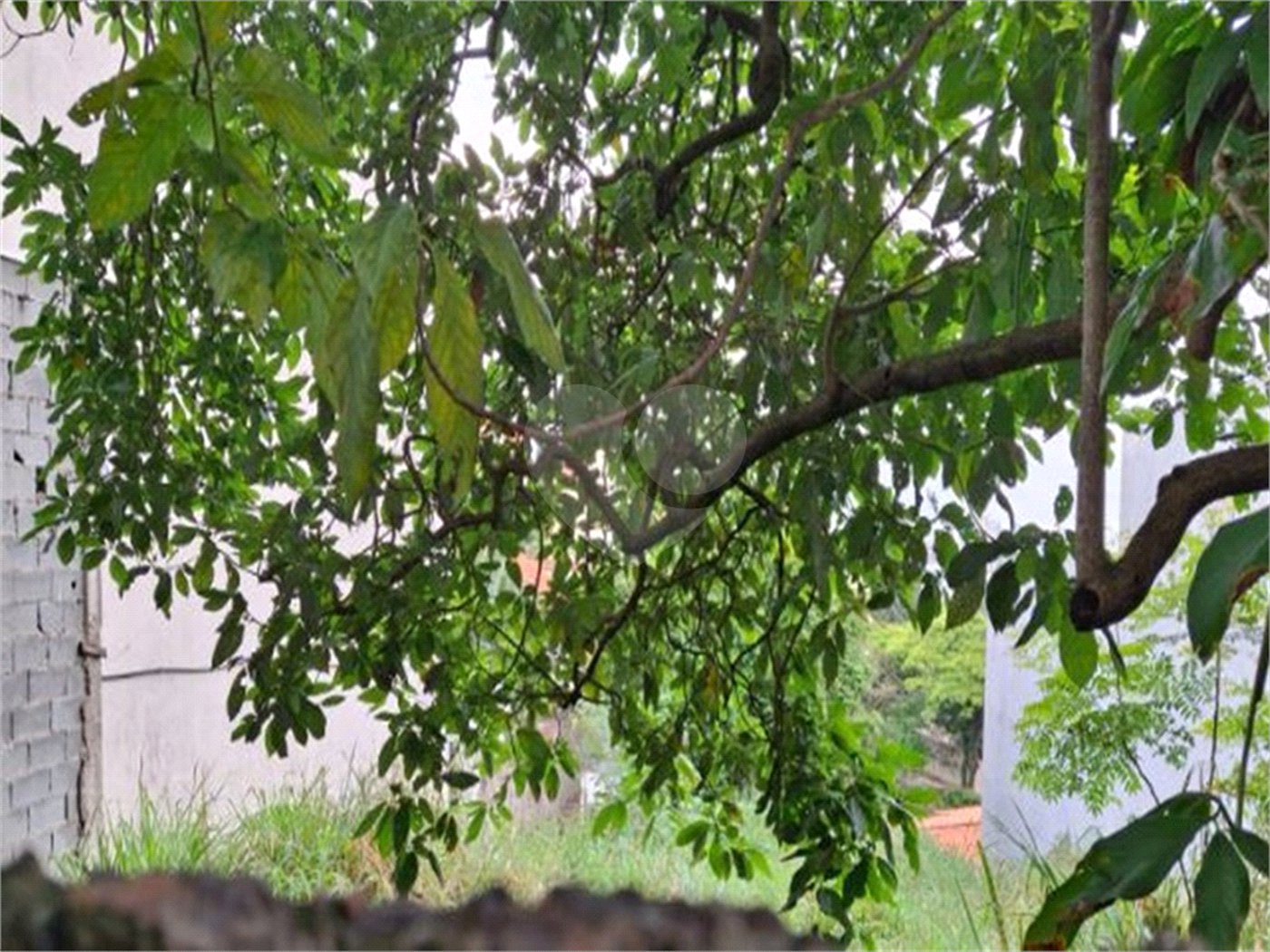 Terreno à venda em Santana, São Paulo, SP