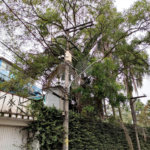Terreno à venda com 5 quartos em Mandaqui, São Paulo, SP
