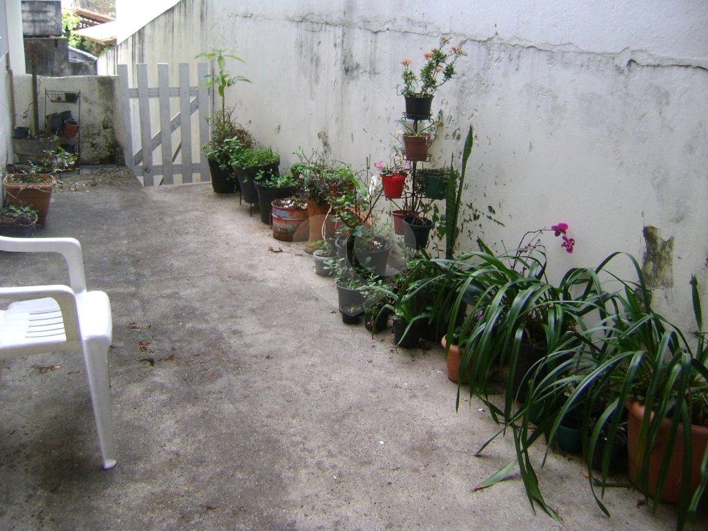Casa à venda com 3 quartos em Vila Indiana, São Paulo, SP