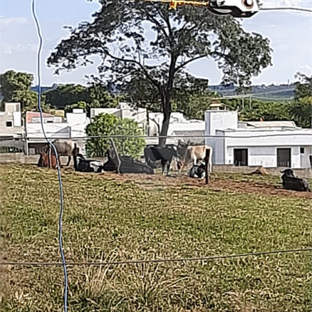 Área de Terra à venda em Chácaras Residenciais Santa Maria, Votorantim, SP