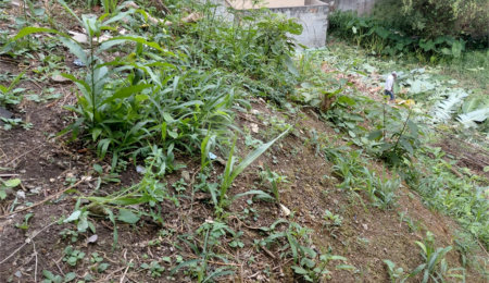 Terreno à venda em Tucuruvi, São Paulo, SP