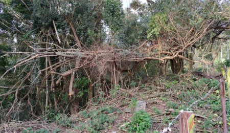 Terreno à venda no condomínio Alpes da Cantareira, Mairiporã - SP