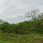 Terreno à venda, 10000 m² por R$ 8.500.000,00 - Cing - Guarujá/SP