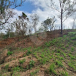 Área de Terra à venda com 1 suíte em Cocais, Itatiba, SP