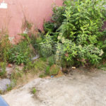 Terreno à venda em Vila Guilherme, São Paulo, SP