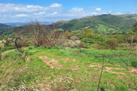 Área de Terra à venda com 1 suíte em Cocais, Itatiba, SP