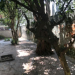 Casa à venda com 4 quartos, sendo 1 suíte, em Jardim Colombo, São Paulo, SP
