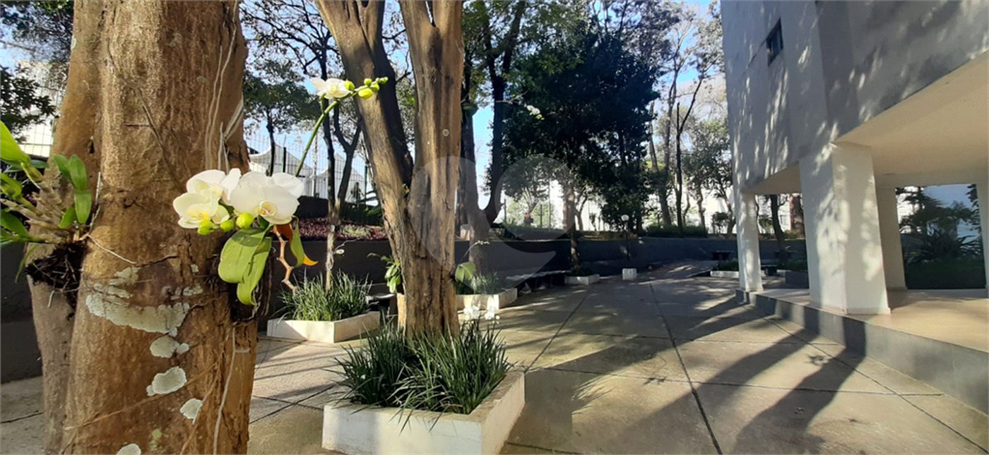 Apartamento à venda com 2 quartos em Mandaqui, São Paulo, SP