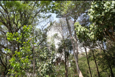 Apartamento à venda com 4 quartos, sendo 2 suítes,  em Lar São Paulo, São Paulo, SP