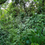 Terreno à venda em Vila Irmãos Arnoni, São Paulo, SP