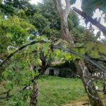 Terreno à venda em Tremembé, São Paulo, SP