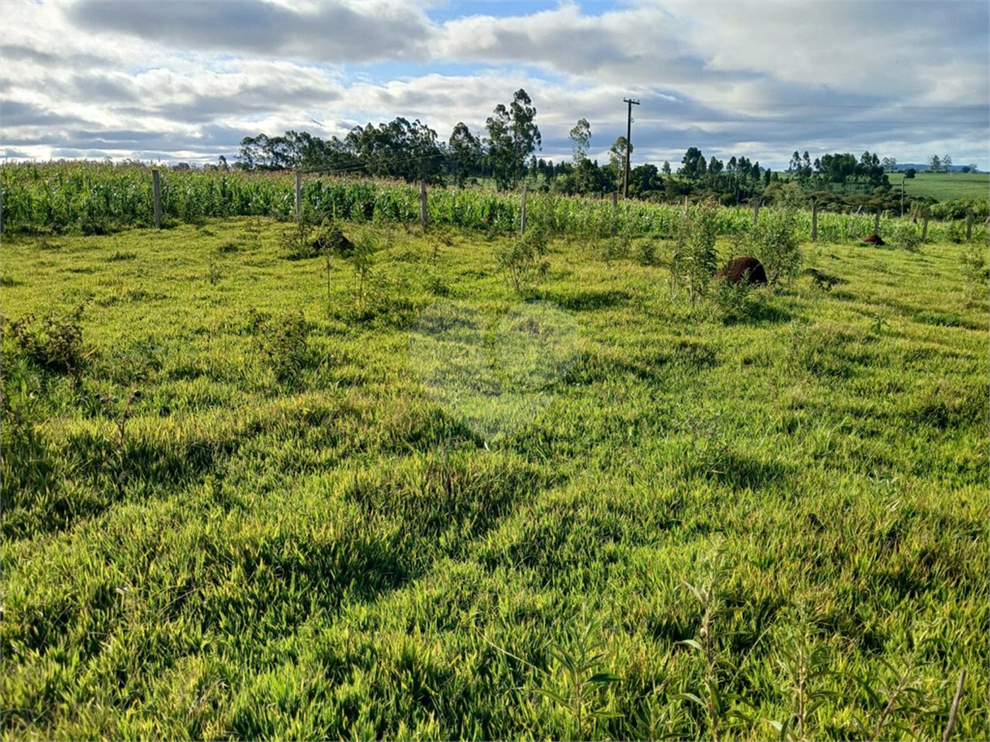 Terreno à venda em Área Rural de Guareí, Guareí, SP