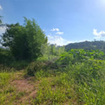 Terreno à venda no condomínio Itaguaçu da Cantareira, São Paulo - SP