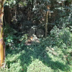 Terreno à venda em Roseira, Mairiporã, SP