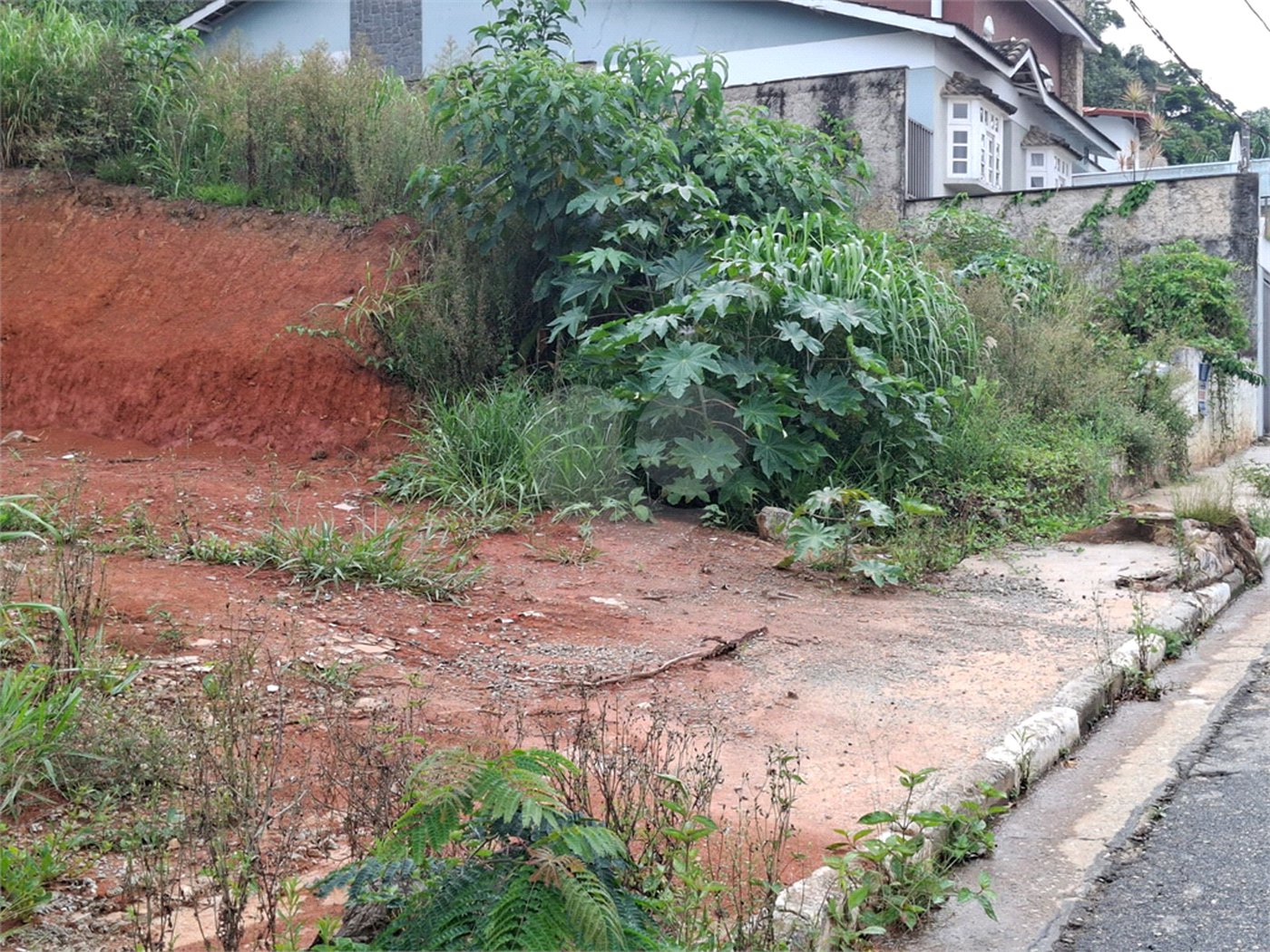 Terreno à venda em Vila Albertina, São Paulo, SP